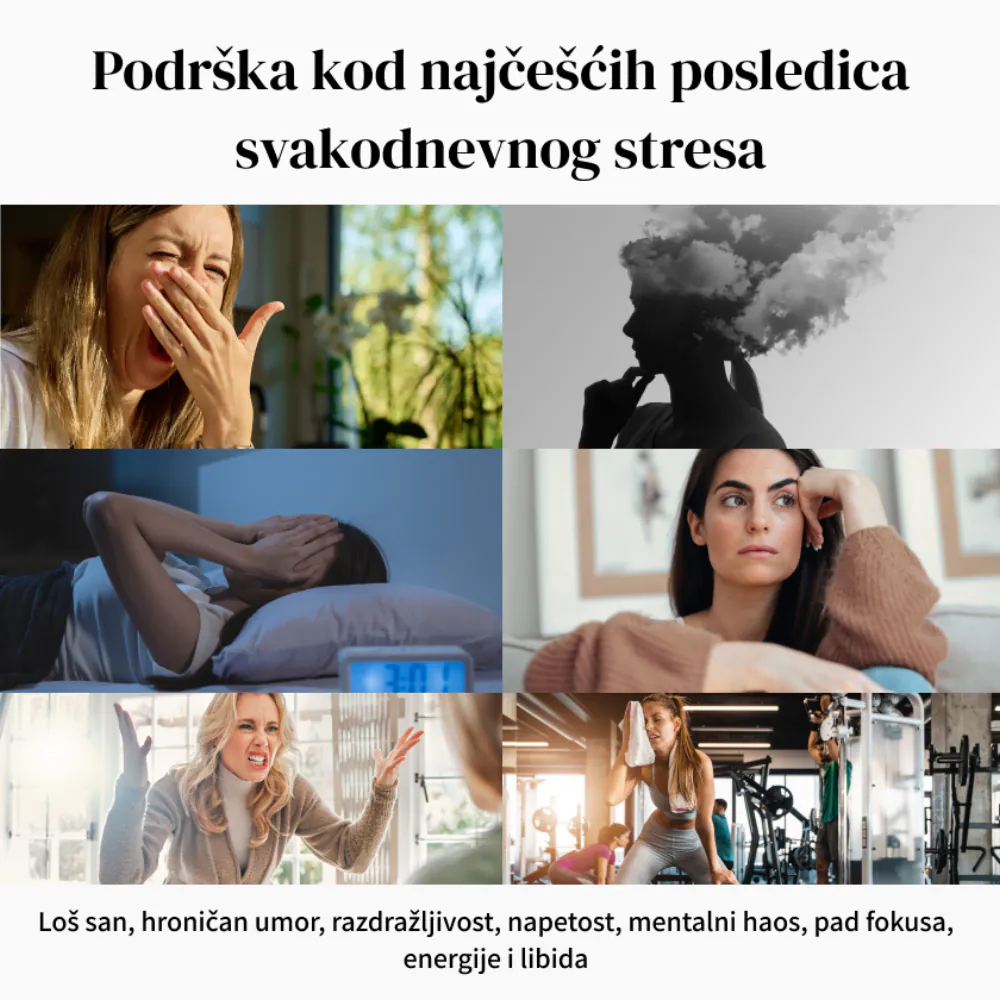 wellbe Ashwagandha — KSM-66® ekstrakt korena ašvagande vrhunskog kvaliteta