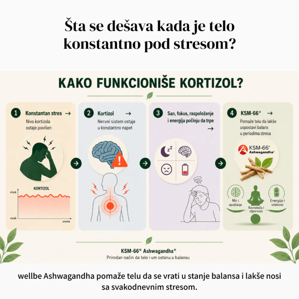 Šta se dešava kada je telo konstantno pod stresom — kako funkcioniše kortizol