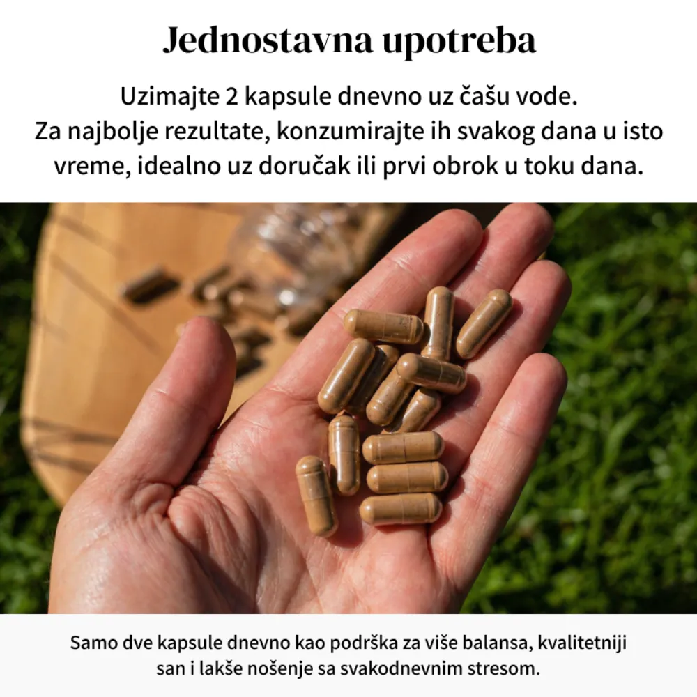 Standardizovano na min. 5% vitanolida, bez veštačkih boja